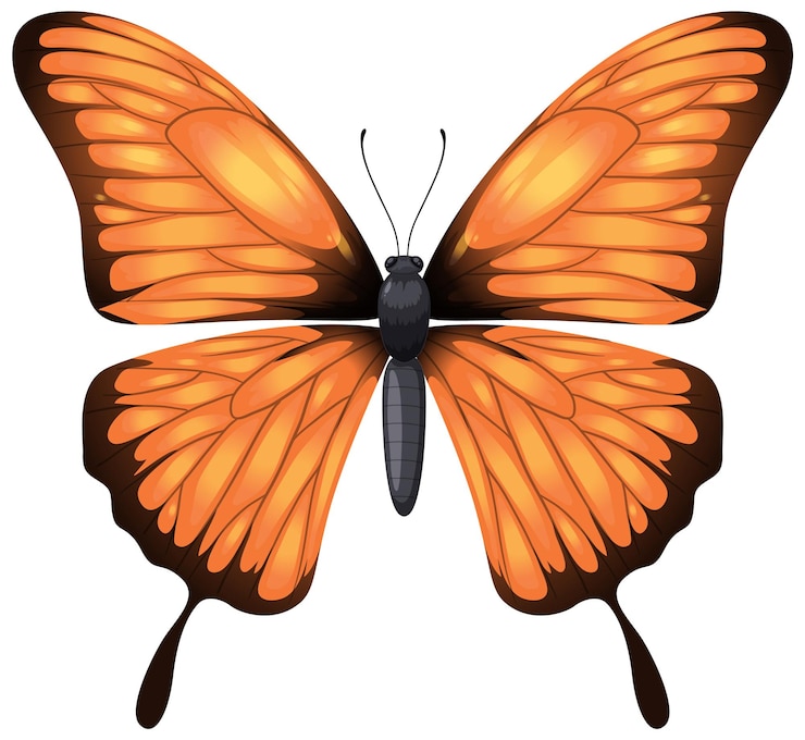 Kostenlose Vektor die lebendige monarch-schmetterling-illustration