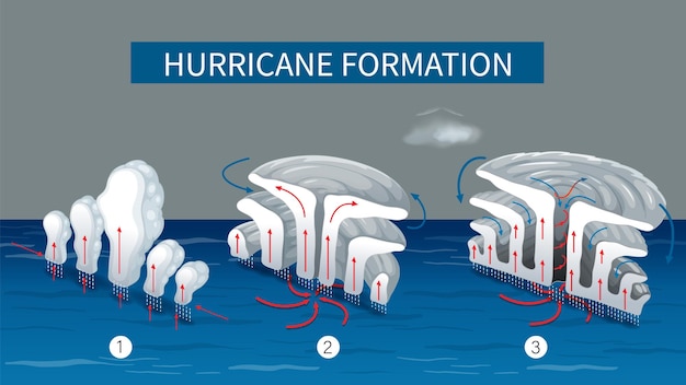 Kostenloser Vektor die phasen der entwicklung eines hurrikans werden erläutert