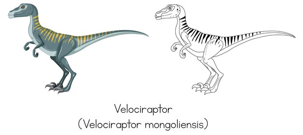 Dinosaurierskizze von Velociraptor