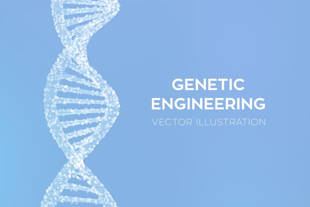 DNA-Sequenz Wireframe DNA-Moleküle Strukturnetz DNA-Code bearbeitbare Vorlage Wissenschafts- und Technologiekonzept Vektorillustration