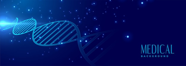DNA unterzeichnen medizinisches und Gesundheitsbanner