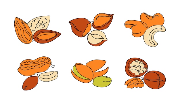 Durchgehende linienmuttern. one line trendiges nuss-set aus walnüssen pistazien haselnuss erdnuss cashew. vector monoline isolierte sammlung nüsse realistische nahaufnahme auf mit hintergründen