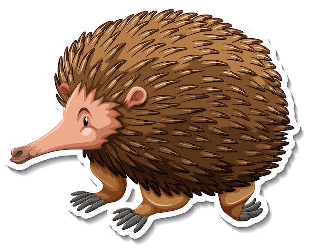 Kostenloser Vektor echidna-cartoon-figur auf weißem hintergrund