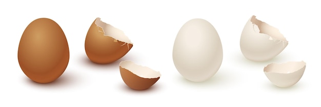 Ei und gebrochene leere Eierschale isoliert auf weißem Hintergrund