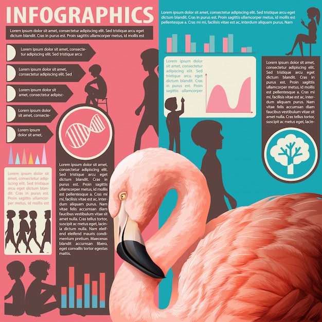 Ein diagramm, das menschen und tiere zeigt