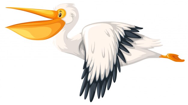 Ein Pelikanfliegen auf weißem Hintergrund