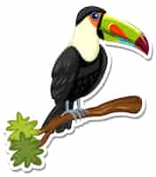 Kostenloser Vektor eine aufklebervorlage der tukan-cartoon-figur