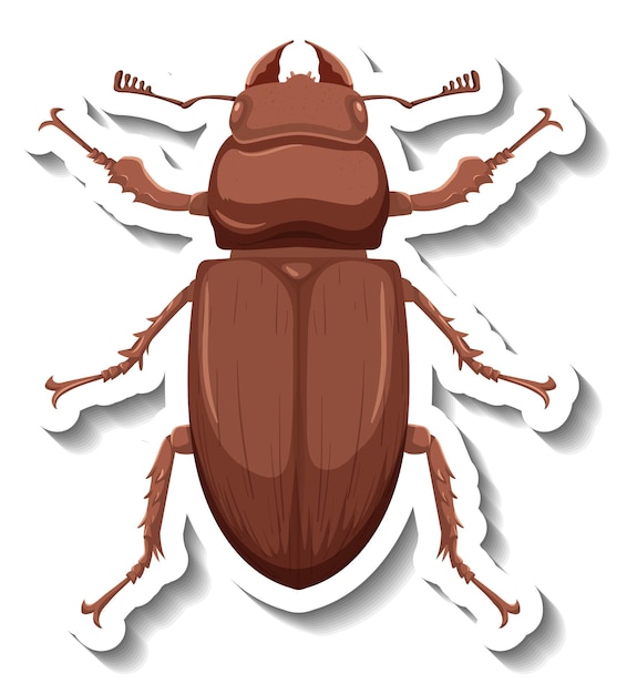 Kostenloser Vektor eine aufklebervorlage mit draufsicht auf einen isolierten käfer