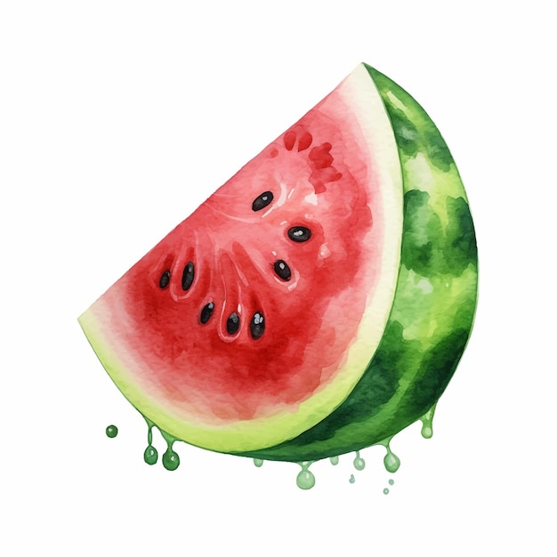 Kostenloser Vektor eine hälfte frischer wassermelonen-aquarellmalerei isoliert