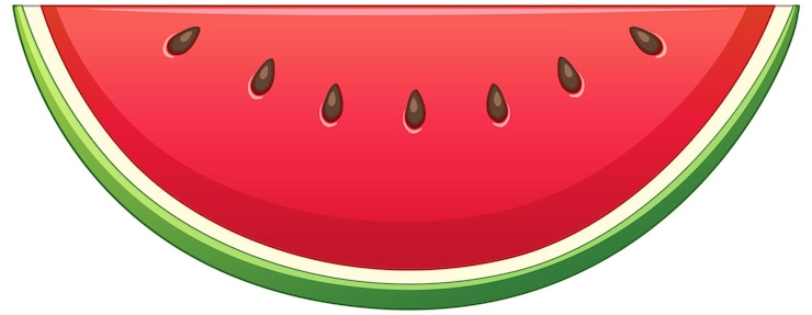 Kostenlose Vektor eine lebendige wassermelonen-schnitt-illustration