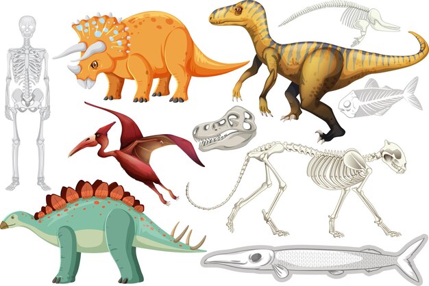 Eine Reihe von Dinosauriern und Fossilien