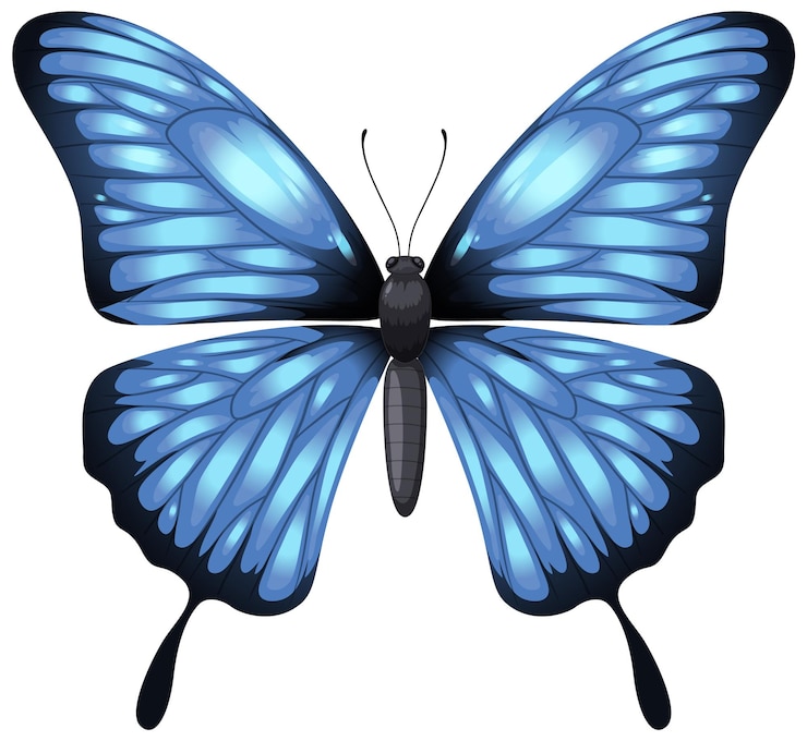 Kostenlose Vektor elegante blaue schmetterlings-illustration