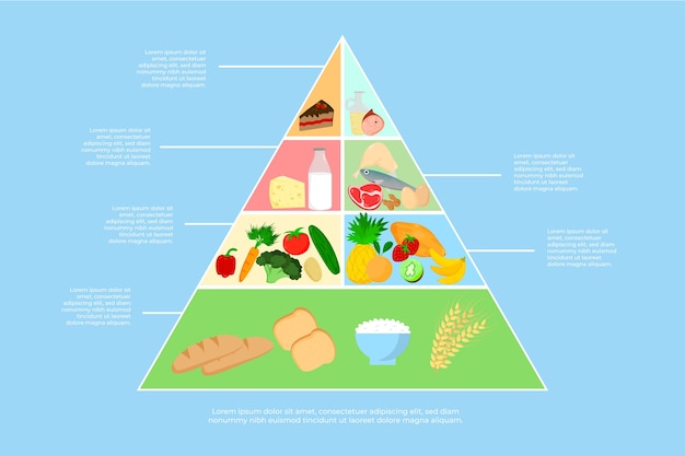 Kostenloser Vektor ernährungspyramide ernährungskonzept