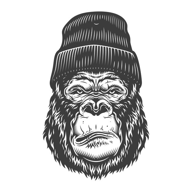 Gesicht Des Gorillas Auf Weiss Kostenlose Vektor