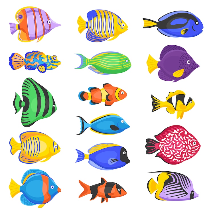 Exotische Fische eingestellt