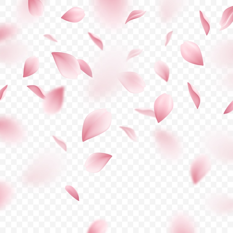 Kostenlose Vektor fallende rosa sakura-blütenblätter realistische illustration
