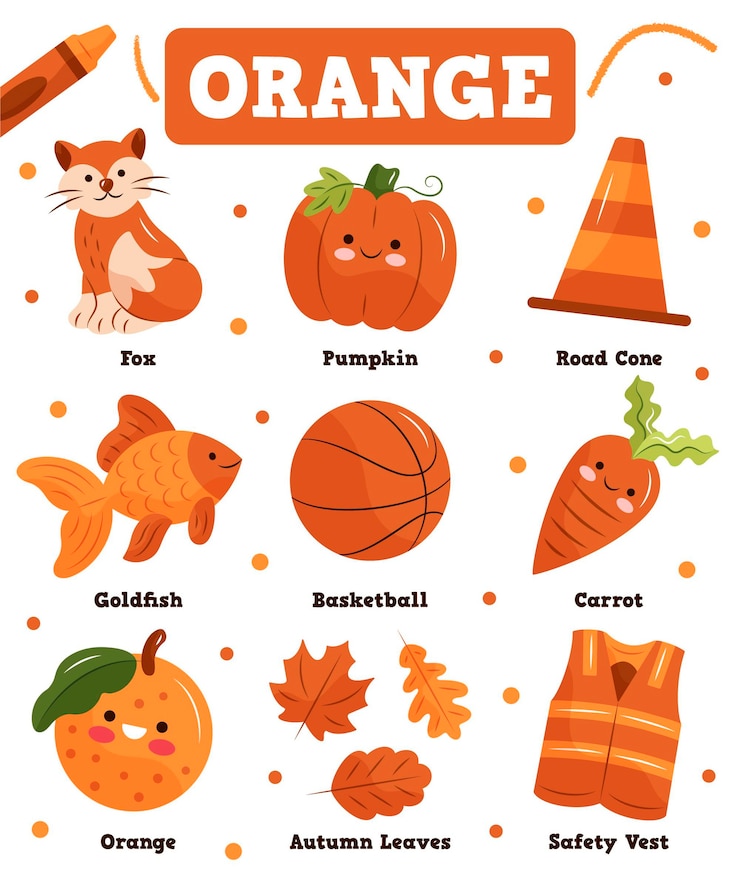 Kostenlose Vektor farbe orange und wortschatz in englisch