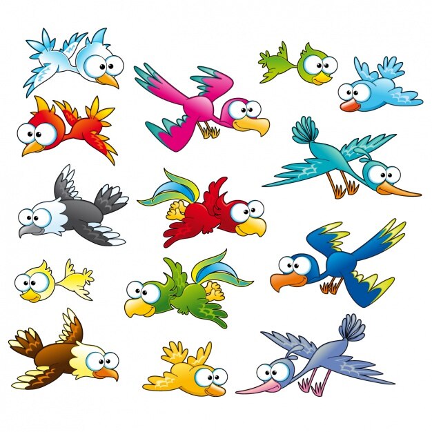 Farbige Vögel Sammlung