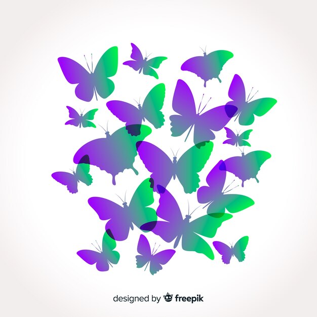 Farbverlauf Schmetterlingssammlung