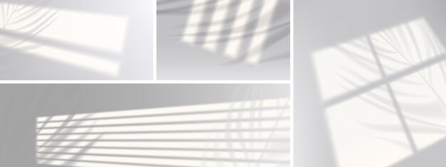 Fensterschatten mit Pflanzenzweigen an der Wand realistische Lichtjalousien Overlay-Effekt Jalousie-Schatten auf weißem Hintergrund Weiches Sonnenlicht fällt auf den Raumboden Grafikdesign Mockup 3D-Vektorillustration