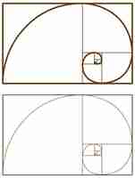 Kostenloser Vektor fibonacci-folgenmathematik fibonacci-zahlen