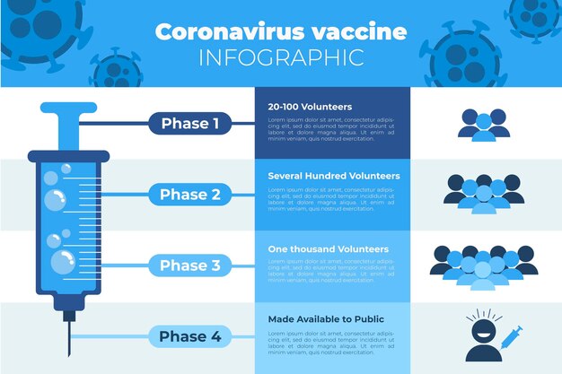 Kostenloser Vektor flache coronavirus-impfphasen