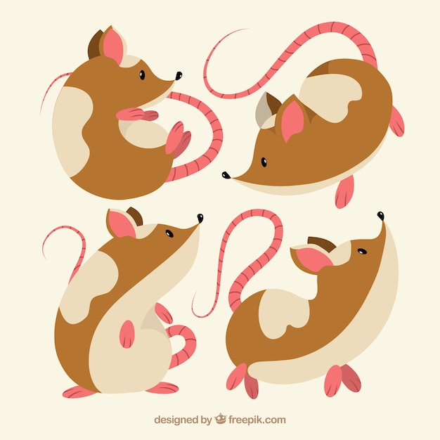 Flache mäusesammlung mit verschiedenen haltungen