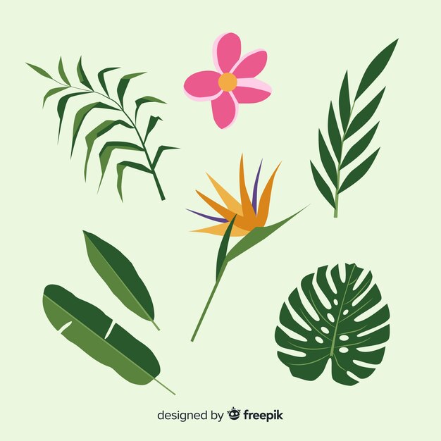 Flache tropische Blumen- und Blätterpackung