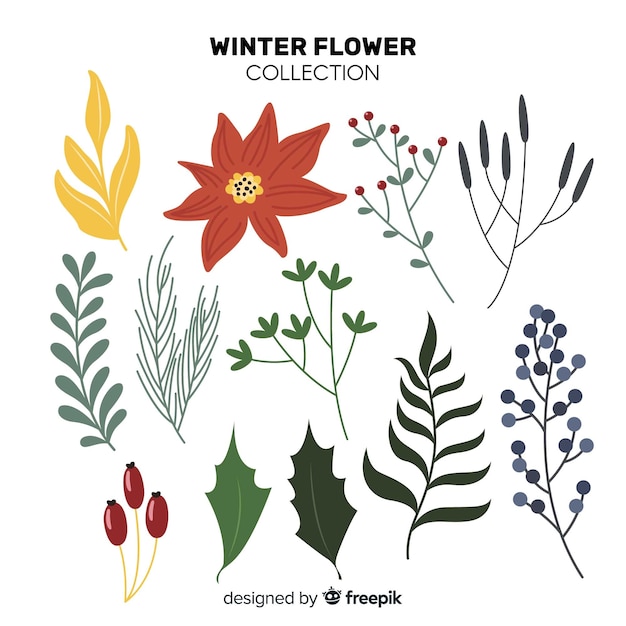 Flache Winterblumenkollektion