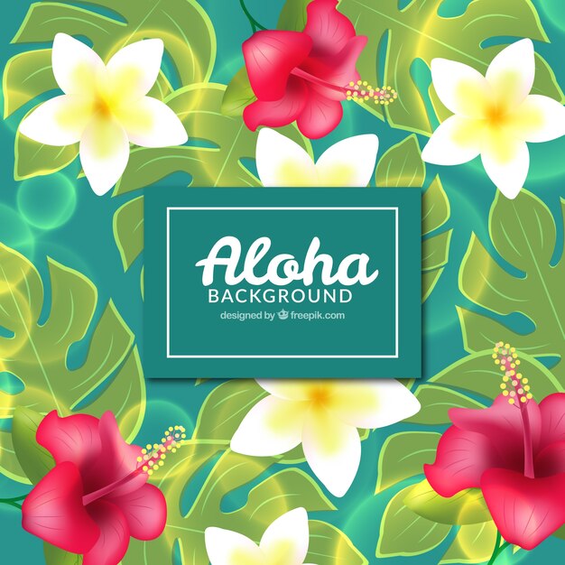 Flaches Design blühte aloha Hintergrund