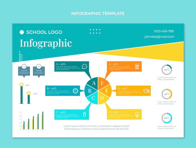 Flaches Design minimale internationale Schule Infografik