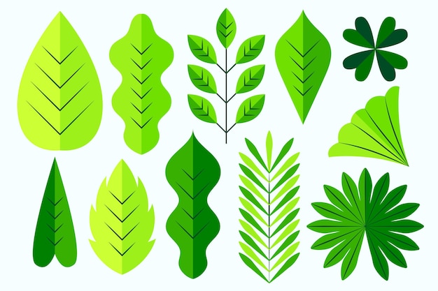 Flaches Design verschiedene grüne Blätter