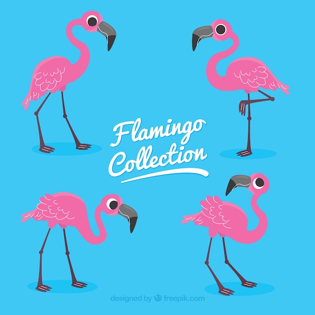 Kostenloser Vektor flamingos-kollektion mit verschiedenen haltungen im flachen stil