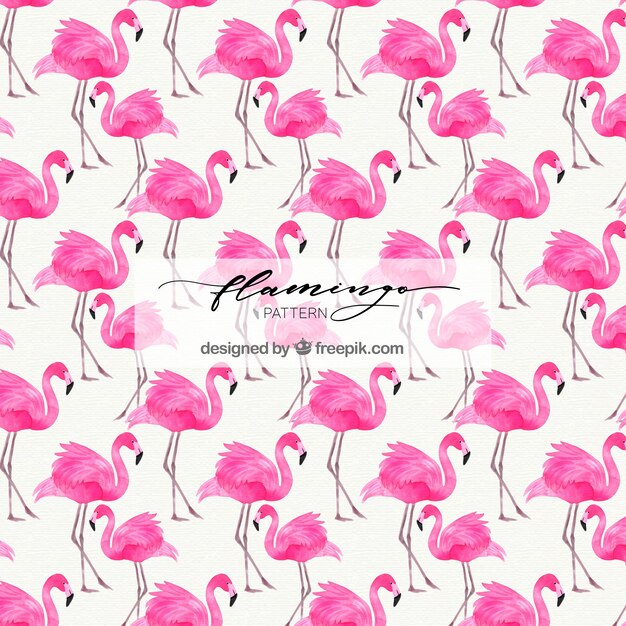 Flamingos Muster in Aquarell-Stil