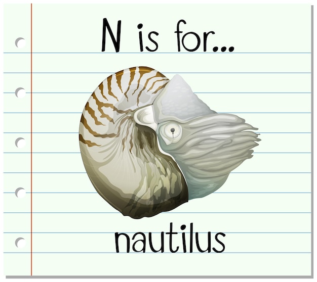 Kostenloser Vektor flashcard-alphabet n ist für nautilus