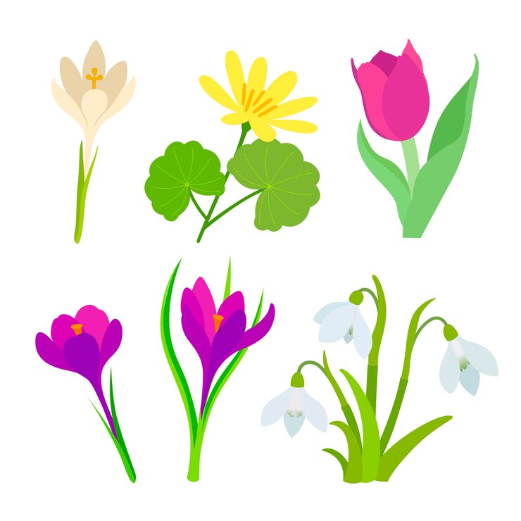 Kostenlose Vektor flat style spring flower collection