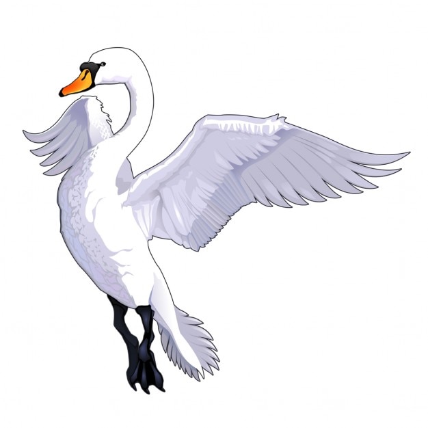 Kostenlose Vektor fliegen schwan vector isolierten tier