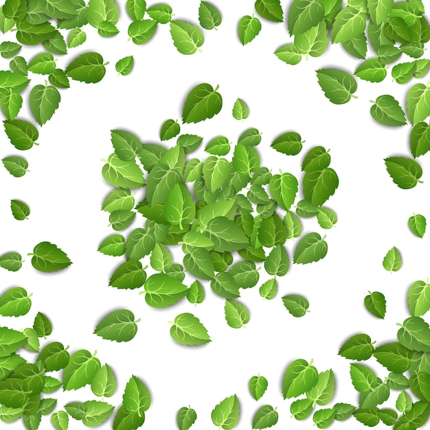 Fliegende grüne Blätter auf weißem Hintergrund Frühlingsblattmuster auf isoliertem Hintergrund verlässt Pflanzenvektor