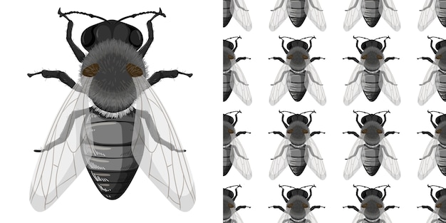 Fliegeninsekten lokalisiert auf weißem Hintergrund und nahtlos