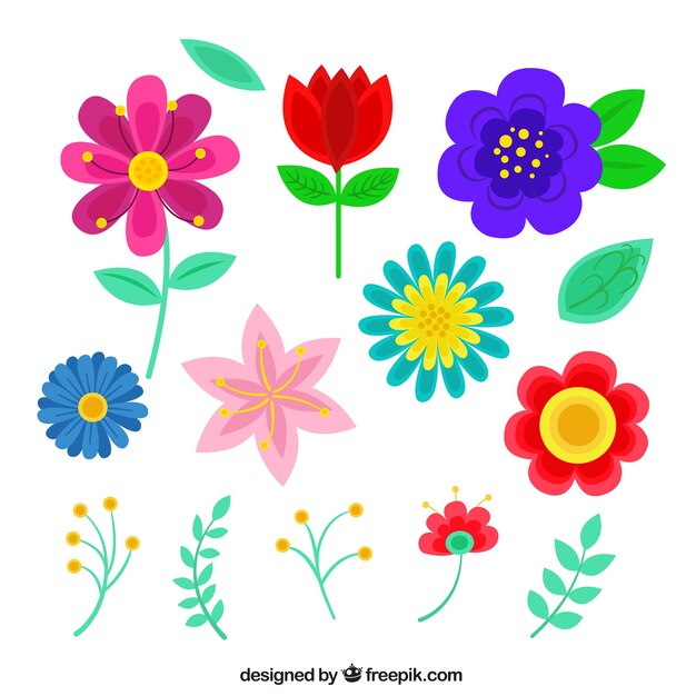 Floral Elementsammlung mit flachem Design
