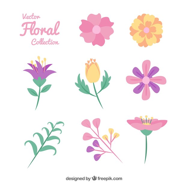 Florale Elemente Sammlung