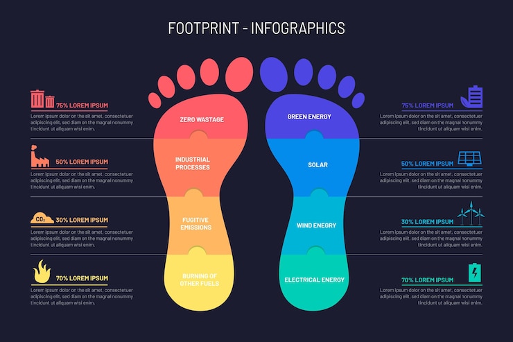 Kostenlose Vektor footprint-infografiken in flachem design