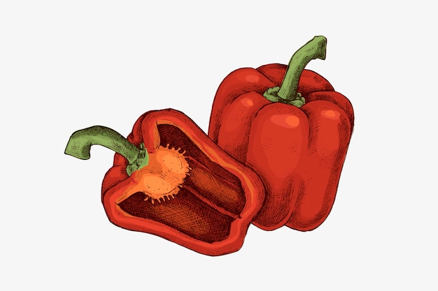 Frisch geschnittene rote Bio-Paprika