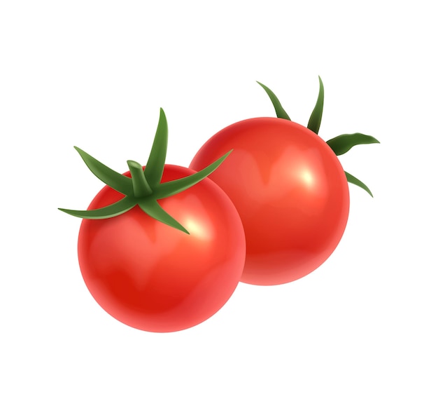 Frische rote Tomaten auf realistischer Vektorillustration des weißen Hintergrundes