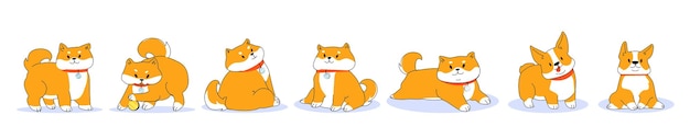 Fröhlicher Shiba Inu Hund Zeichentrickfigur in verschiedenen Posen Süßes, lustiges Haustierporträt Rothaariger japanischer Hund steht liegend mit Ball sitzend Dogecoin-Symbol Flache Vektordarstellung für Strichzeichnungen