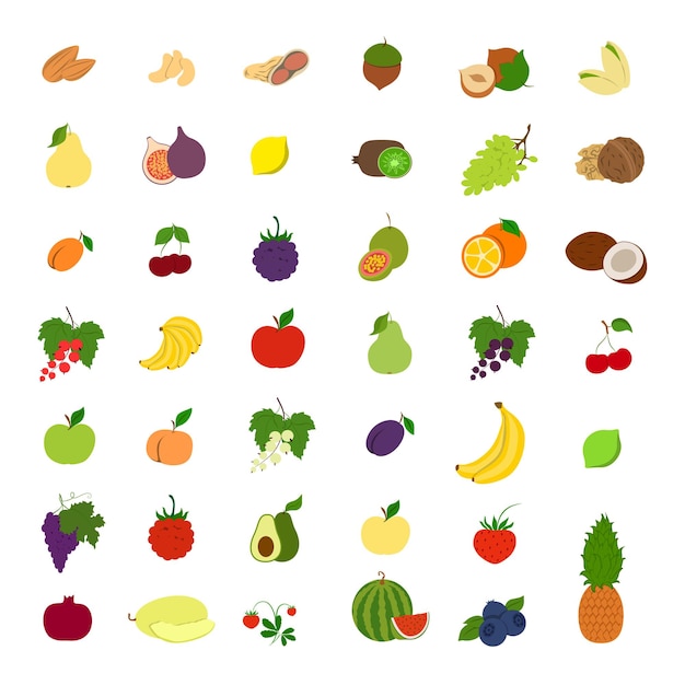 Fruchtillustrationssatz Bananen und Äpfel, Pflaumen und Birnen und mehr