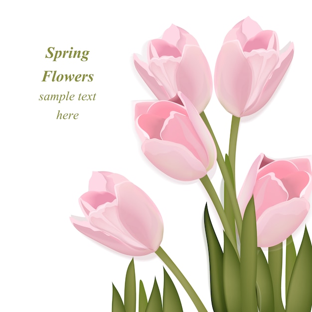 Frühling Hintergrund Design