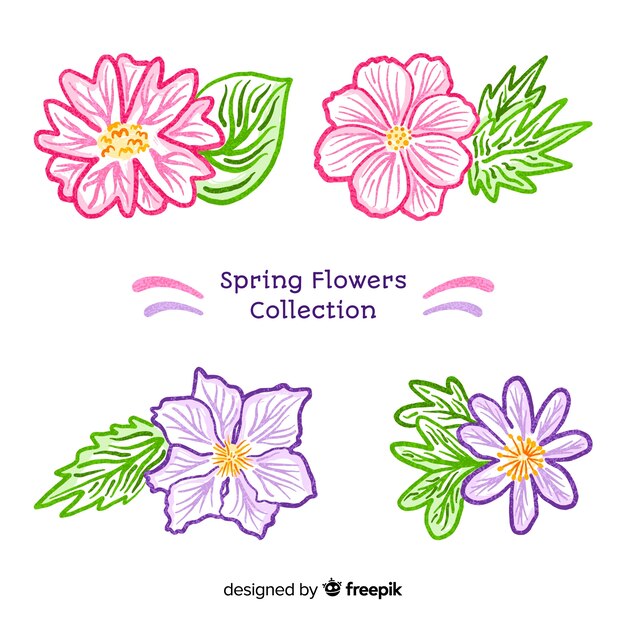 Frühlingsblumen-Sammlung