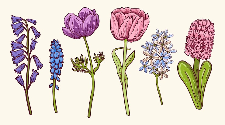 Kostenlose Vektor frühlingsblumen-sammlung