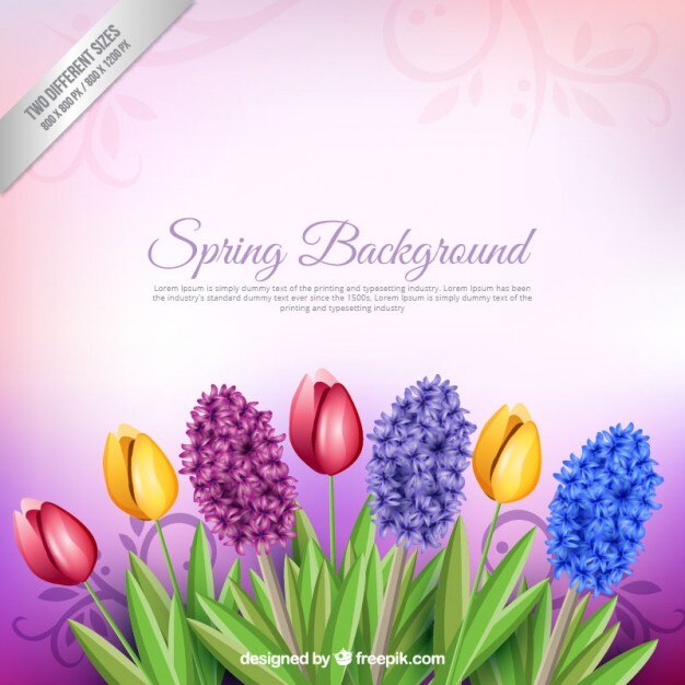Kostenlose Vektor frühlingsblumenhintergrund